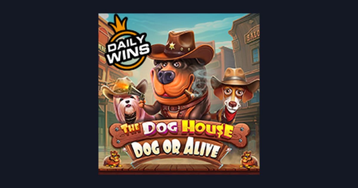 Tips Menang Buat Pemula di Slot The Dog House Dog Or Alive Pragmatic Play